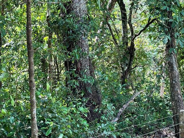 #94 - Área para Venda em Chapada dos Guimarães - MT